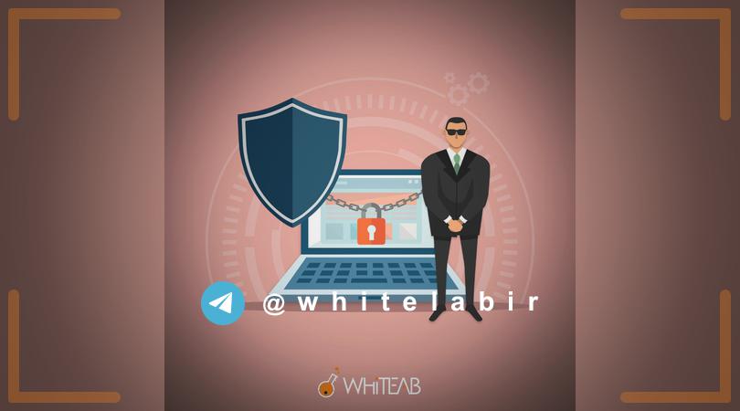 ◽بررسی امنیت و نفوذپذیری وب سایت توسط متخصصین امنیت: ...