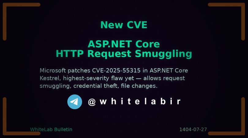 ⚠️ مایکروسافت نقص امنیتی با «بالاترین شدت» را در ASP.NET Core رفع کرد
